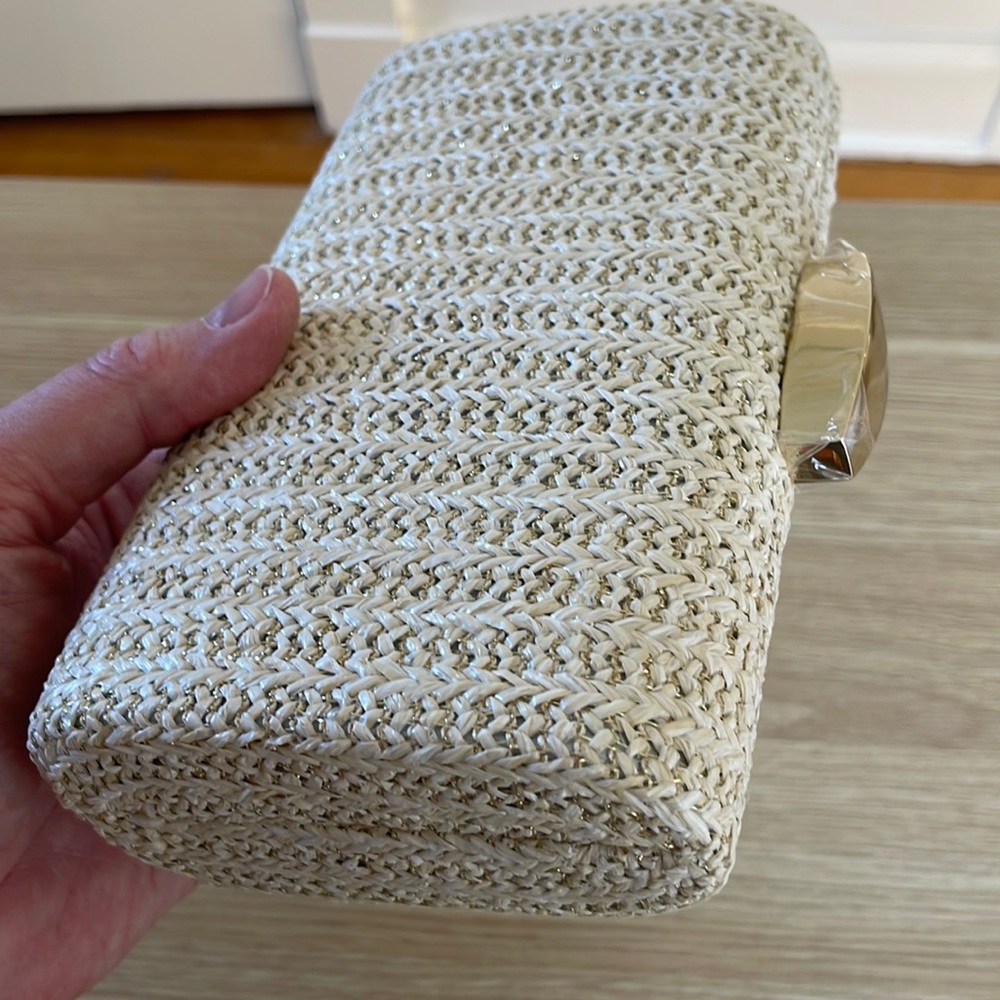 Wedding and Party 🎉 evening Clutch.